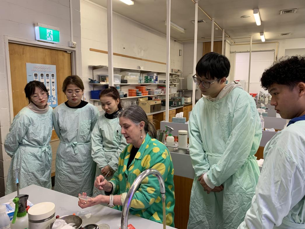 文件名稱:image6.jpeg原圖大小:NaNGB