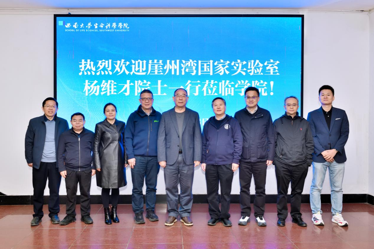 文件名稱:image1.png原圖大小:NaNGB