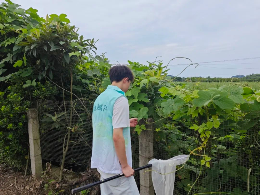 文件名稱:植保.png原圖大小:0.84MB