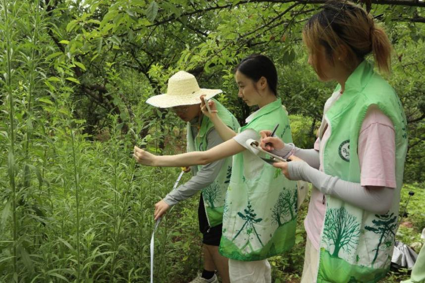 文件名稱:生科.png原圖大小:0.87MB